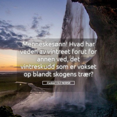 Picture 05 - Esekiel 15:2 NORSK - Menneskesønn! Hvad har veden av vintreet forut - Bible Verse Picture