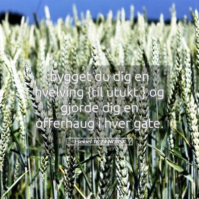 Picture 05 - Esekiel 16:24 NORSK - bygget du dig en hvelving {til utukt.} og gjorde - Bible Verse Picture