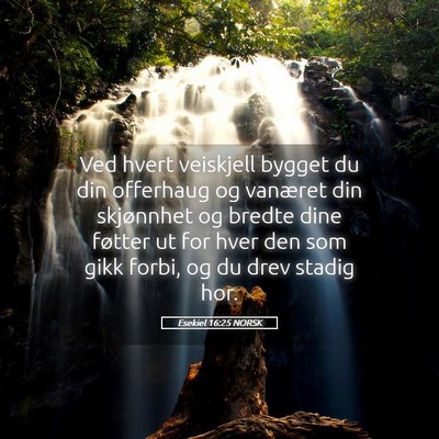 Picture 05 - Esekiel 16:25 NORSK - Ved hvert veiskjell bygget du din offerhaug og - Bible Verse Picture