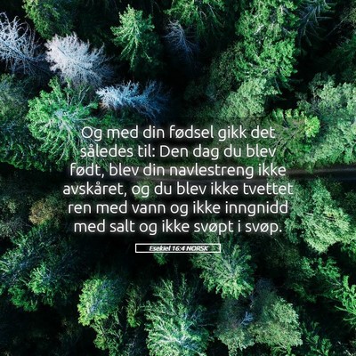 Picture 05 - Esekiel 16:4 NORSK - Og med din fødsel gikk det således til: Den dag - Bible Verse Picture