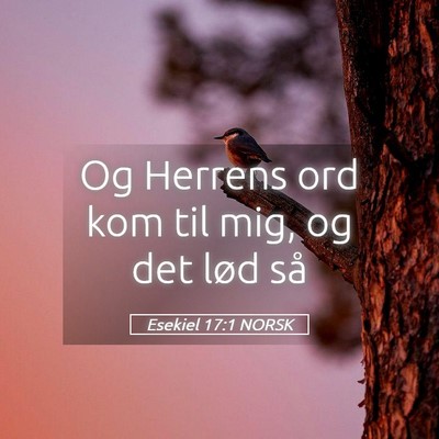 Picture 05 - Esekiel 17:1 NORSK - Og Herrens ord kom til mig, og det lød - Bible Verse Picture