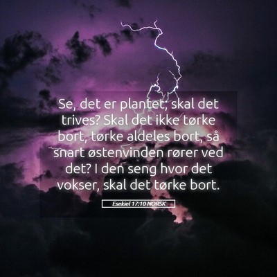 Picture 05 - Esekiel 17:10 NORSK - Se, det er plantet; skal det trives? Skal det - Bible Verse Picture