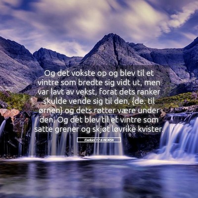 Picture 05 - Esekiel 17:6 NORSK - Og det vokste op og blev til et vintre som bredte - Bible Verse Picture