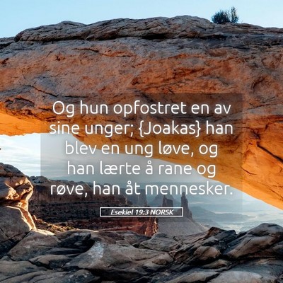 Picture 05 - Esekiel 19:3 NORSK - Og hun opfostret en av sine unger; {Joakas} han - Bible Verse Picture
