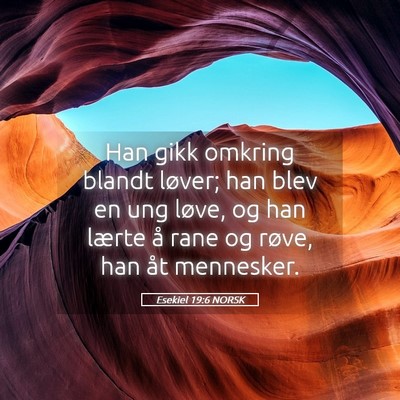 Picture 05 - Esekiel 19:6 NORSK - Han gikk omkring blandt løver; han blev en ung - Bible Verse Picture