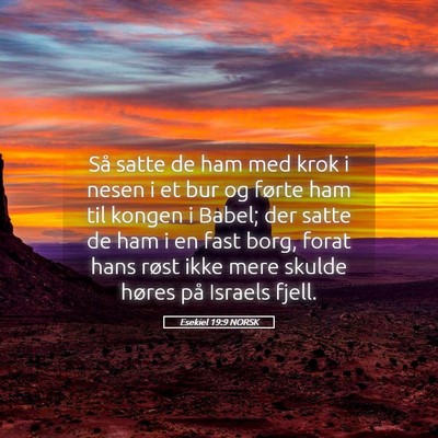 Picture 05 - Esekiel 19:9 NORSK - Så satte de ham med krok i nesen i et bur og - Bible Verse Picture
