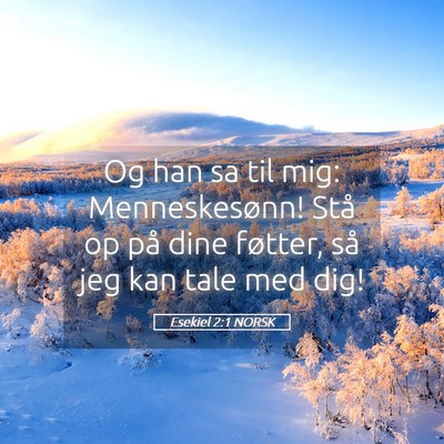 Picture 05 - Esekiel 2:1 NORSK - Og han sa til mig: Menneskesønn! Stå op på - Bible Verse Picture
