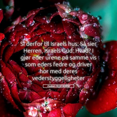 Picture 05 - Esekiel 20:30 NORSK - Si derfor til Israels hus: Så sier Herren, - Bible Verse Picture