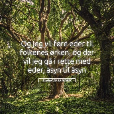 Picture 05 - Esekiel 20:35 NORSK - Og jeg vil føre eder til folkenes ørken, og der - Bible Verse Picture
