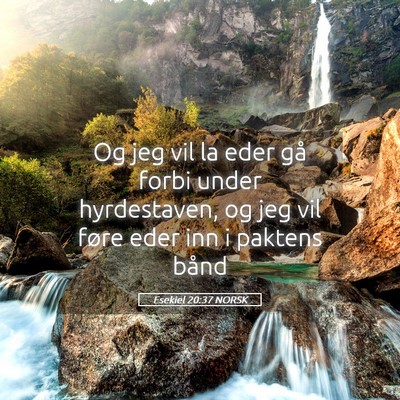 Picture 05 - Esekiel 20:37 NORSK - Og jeg vil la eder gå forbi under hyrdestaven, - Bible Verse Picture