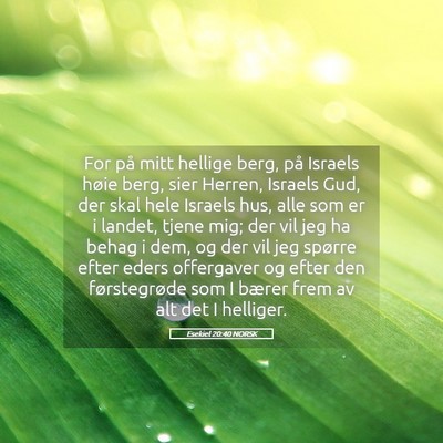 Picture 05 - Esekiel 20:40 NORSK - For på mitt hellige berg, på Israels høie - Bible Verse Picture