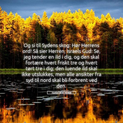 Picture 05 - Esekiel 20:47 NORSK - Og si til Sydens skog: Hør Herrens ord! Så sier - Bible Verse Picture