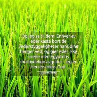 Picture 05 - Esekiel 20:7 NORSK - Og jeg sa til dem: Enhver av eder kaste bort de - Bible Verse Picture