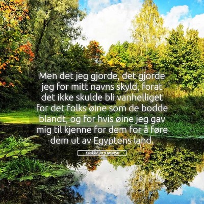 Picture 05 - Esekiel 20:9 NORSK - Men det jeg gjorde, det gjorde jeg for mitt navns - Bible Verse Picture