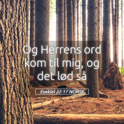 Picture 05 - Esekiel 22:17 NORSK - Og Herrens ord kom til mig, og det lød - Bible Verse Picture