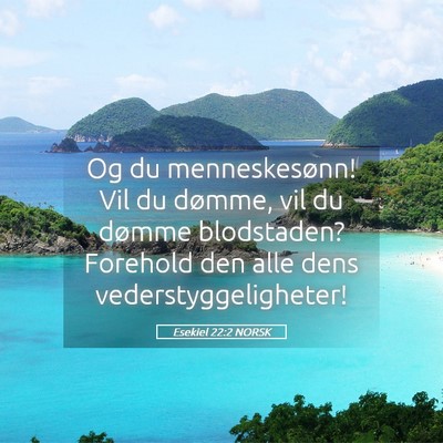 Picture 05 - Esekiel 22:2 NORSK - Og du menneskesønn! Vil du dømme, vil du dømme - Bible Verse Picture