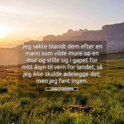 Picture 05 - Esekiel 22:30 NORSK - Jeg søkte blandt dem efter en mann som vilde - Bible Verse Picture