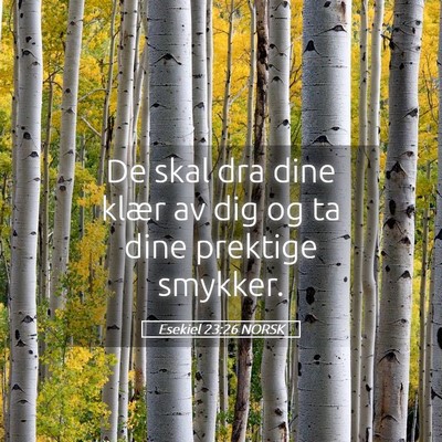 Picture 05 - Esekiel 23:26 NORSK - De skal dra dine klær av dig og ta dine prektige - Bible Verse Picture