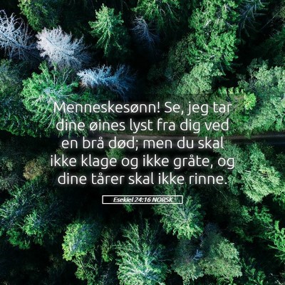Picture 05 - Esekiel 24:16 NORSK - Menneskesønn! Se, jeg tar dine øines lyst fra - Bible Verse Picture