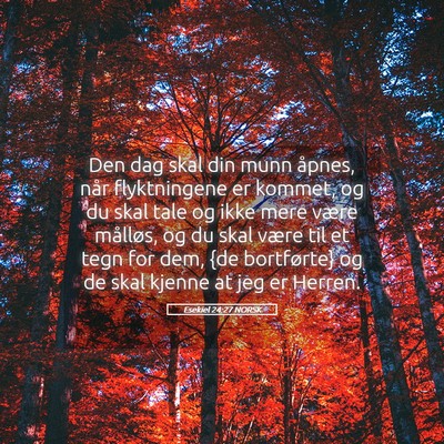 Picture 05 - Esekiel 24:27 NORSK - Den dag skal din munn åpnes, når flyktningene - Bible Verse Picture