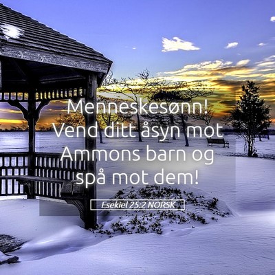 Picture 05 - Esekiel 25:2 NORSK - Menneskesønn! Vend ditt åsyn mot Ammons barn og - Bible Verse Picture