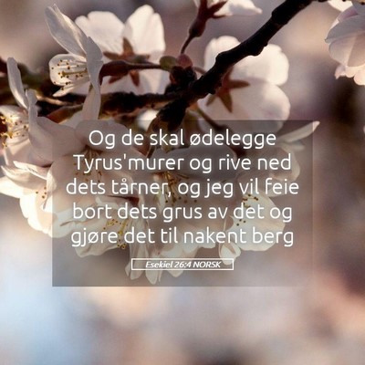 Picture 05 - Esekiel 26:4 NORSK - Og de skal ødelegge Tyrus'murer og rive ned dets - Bible Verse Picture