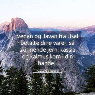 Picture 05 - Esekiel 27:19 NORSK - Vedan og Javan fra Usal betalte dine varer, så - Bible Verse Picture