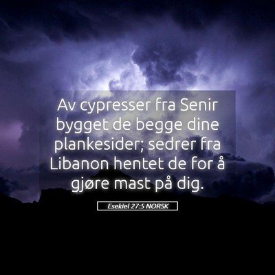 Picture 05 - Esekiel 27:5 NORSK - Av cypresser fra Senir bygget de begge dine - Bible Verse Picture