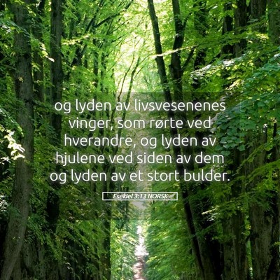 Picture 05 - Esekiel 3:13 NORSK - og lyden av livsvesenenes vinger, som rørte ved - Bible Verse Picture