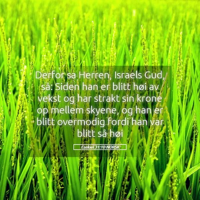 Picture 05 - Esekiel 31:10 NORSK - Derfor sa Herren, Israels Gud, så: Siden han er - Bible Verse Picture