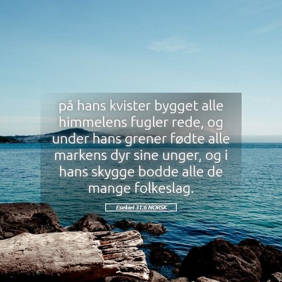Picture 05 - Esekiel 31:6 NORSK - på hans kvister bygget alle himmelens fugler - Bible Verse Picture