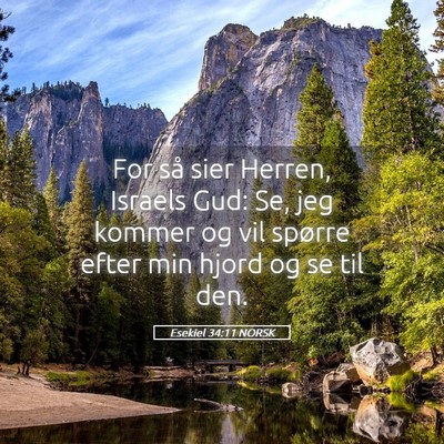 Picture 05 - Esekiel 34:11 NORSK - For så sier Herren, Israels Gud: Se, jeg kommer - Bible Verse Picture
