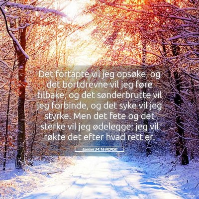 Picture 05 - Esekiel 34:16 NORSK - Det fortapte vil jeg opsøke, og det bortdrevne - Bible Verse Picture