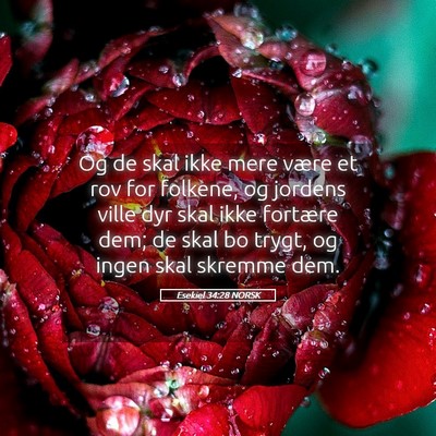 Picture 05 - Esekiel 34:28 NORSK - Og de skal ikke mere være et rov for folkene, og - Bible Verse Picture