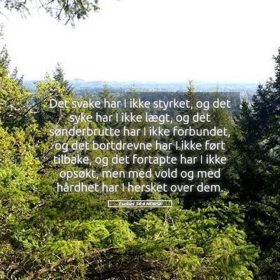 Picture 05 - Esekiel 34:4 NORSK - Det svake har I ikke styrket, og det syke har I - Bible Verse Picture
