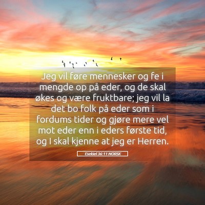 Picture 05 - Esekiel 36:11 NORSK - Jeg vil føre mennesker og fe i mengde op på - Bible Verse Picture