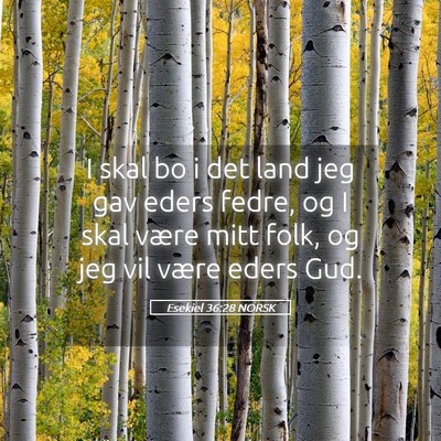 Picture 05 - Esekiel 36:28 NORSK - I skal bo i det land jeg gav eders fedre, og I - Bible Verse Picture