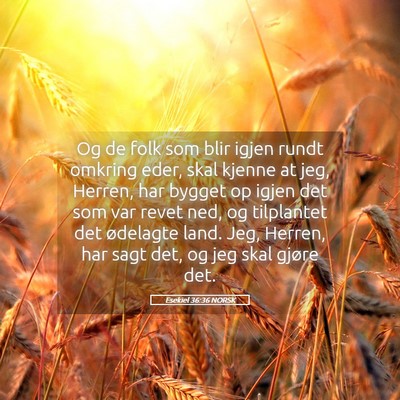 Picture 05 - Esekiel 36:36 NORSK - Og de folk som blir igjen rundt omkring eder, - Bible Verse Picture