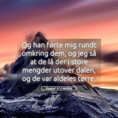 Picture 05 - Esekiel 37:2 NORSK - Og han førte mig rundt omkring dem, og jeg så - Bible Verse Picture