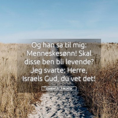Picture 05 - Esekiel 37:3 NORSK - Og han sa til mig: Menneskesønn! Skal disse ben - Bible Verse Picture