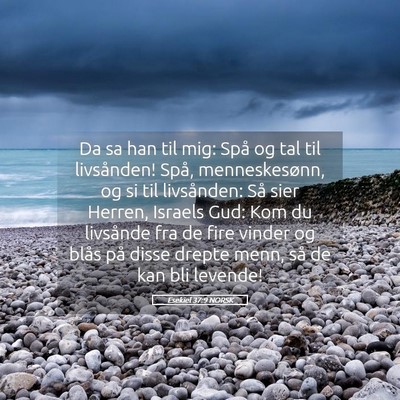 Picture 05 - Esekiel 37:9 NORSK - Da sa han til mig: Spå og tal til livsånden! - Bible Verse Picture