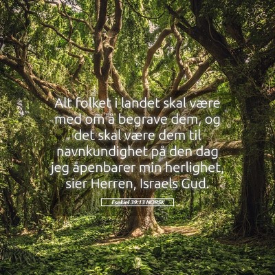 Picture 05 - Esekiel 39:13 NORSK - Alt folket i landet skal være med om å begrave - Bible Verse Picture