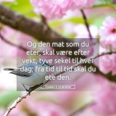 Picture 05 - Esekiel 4:10 NORSK - Og den mat som du eter, skal være efter vekt, - Bible Verse Picture