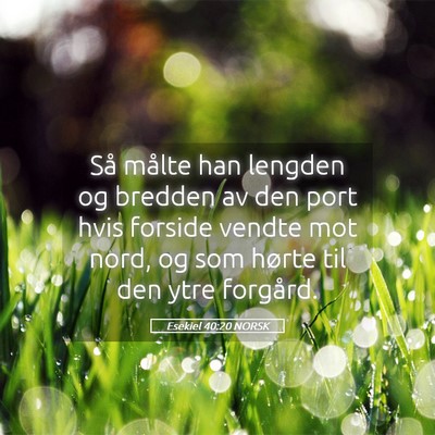 Picture 05 - Esekiel 40:20 NORSK - Så målte han lengden og bredden av den port - Bible Verse Picture