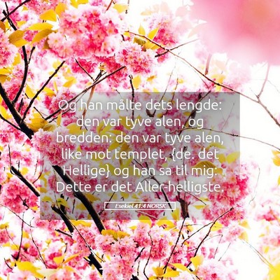 Picture 05 - Esekiel 41:4 NORSK - Og han målte dets lengde: den var tyve alen, og - Bible Verse Picture