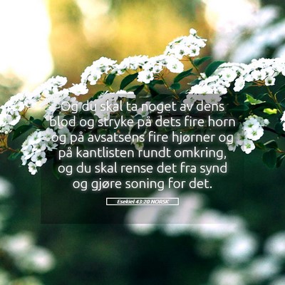 Picture 05 - Esekiel 43:20 NORSK - Og du skal ta noget av dens blod og stryke på - Bible Verse Picture