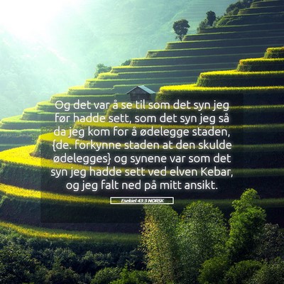 Picture 05 - Esekiel 43:3 NORSK - Og det var å se til som det syn jeg før hadde - Bible Verse Picture