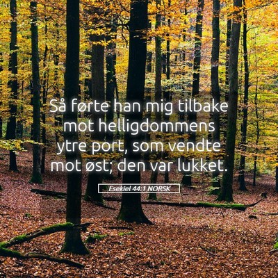 Picture 05 - Esekiel 44:1 NORSK - Så førte han mig tilbake mot helligdommens ytre - Bible Verse Picture