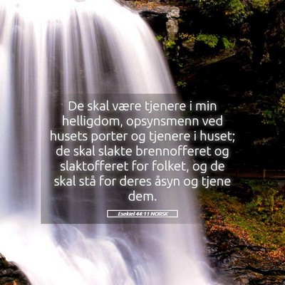 Picture 05 - Esekiel 44:11 NORSK - De skal være tjenere i min helligdom, opsynsmenn - Bible Verse Picture