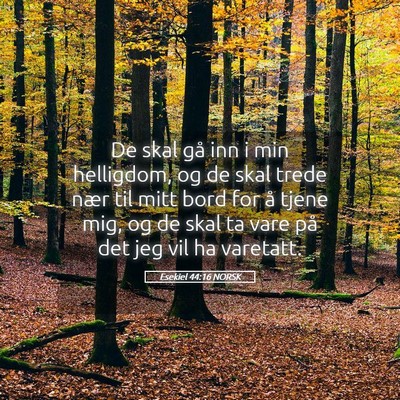 Picture 05 - Esekiel 44:16 NORSK - De skal gå inn i min helligdom, og de skal trede - Bible Verse Picture